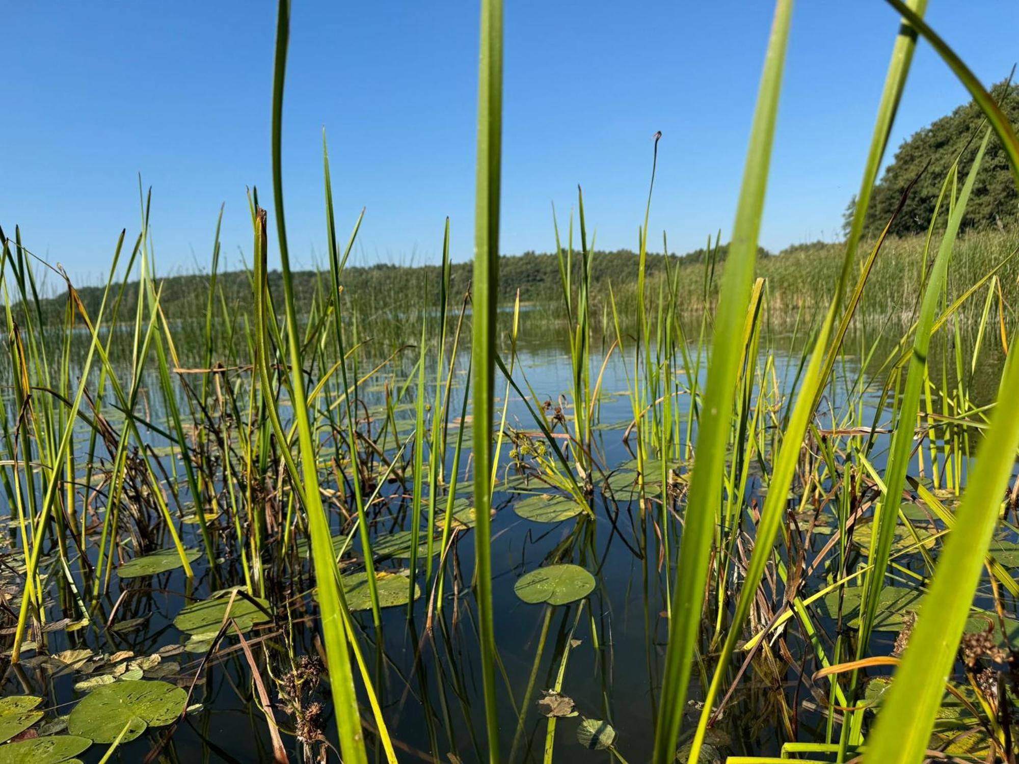 Domek Rekreacyjny Doran Villa Tuczno Exteriör bild